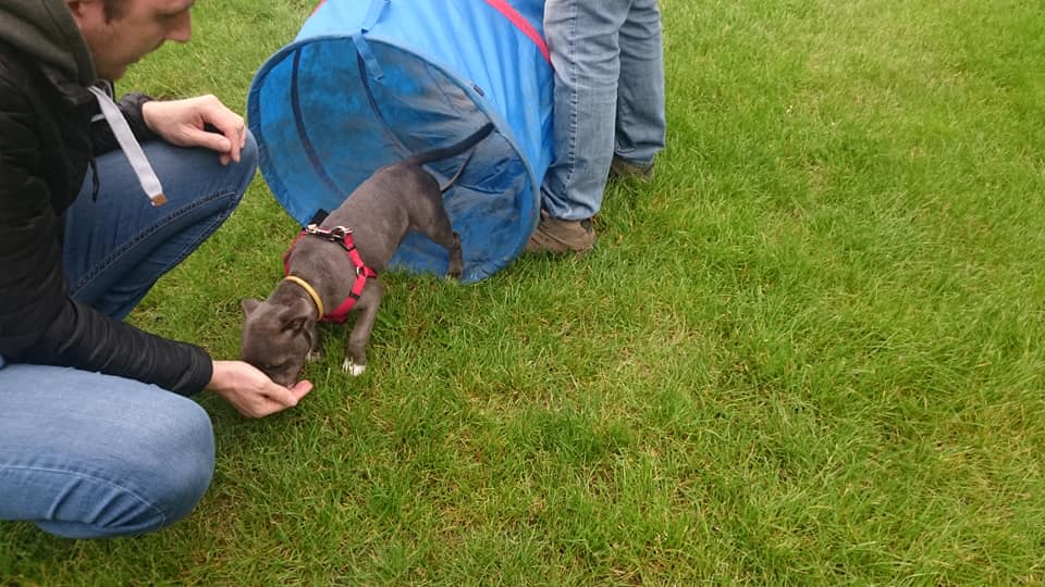 101492189_2635896203182447_6900483844336517120_n